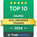 training badge training badge