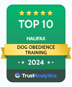 training badge training badge